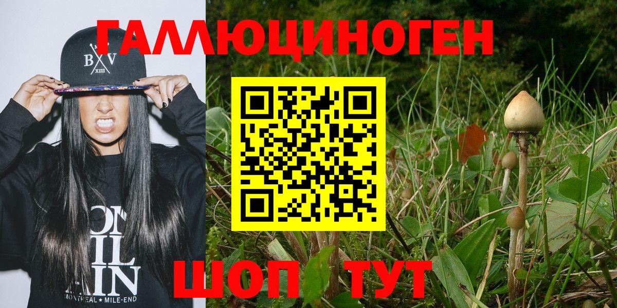Дмитров  Галлюциногенные грибы Psilocybe  Галлюциногенные грибы Cubensis  Вход с VPN 